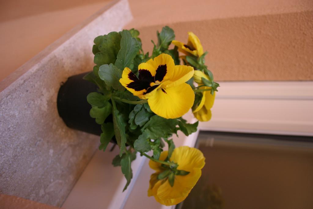 Note Sulla Piazza Bed & Breakfast Cagliari Bagian luar foto